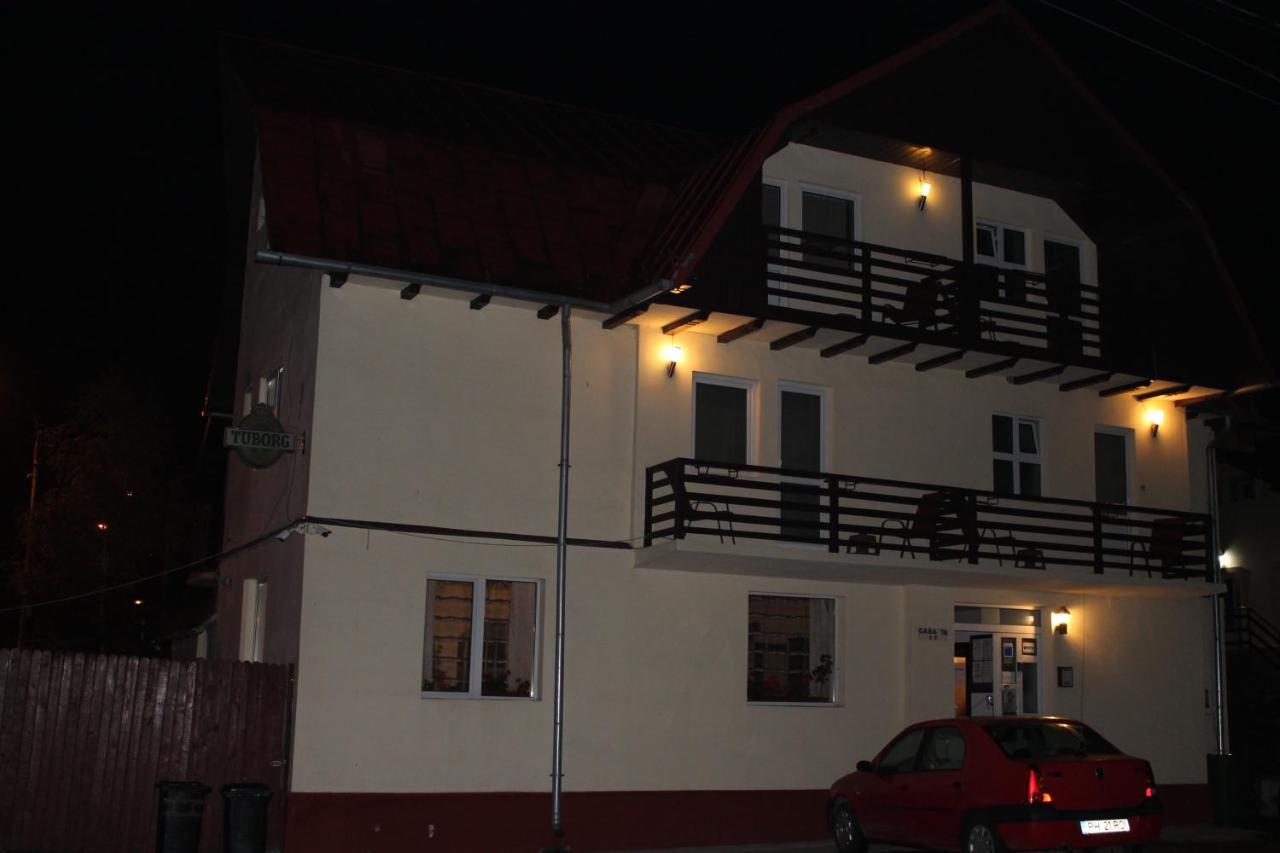 Vila Casa Ta Σινάια Εξωτερικό φωτογραφία